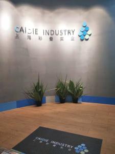 上海彩疊實(shí)業(yè)